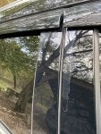 IMG_3843.jpeg